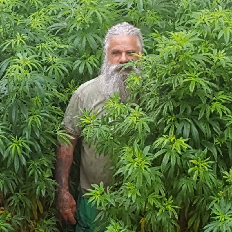 Larry Nagle - Cannabis, Industrial Hemp, and Marijuana Expert Larry Nagle - Cannabis, Industrial Hemp, and Marijuana Expert